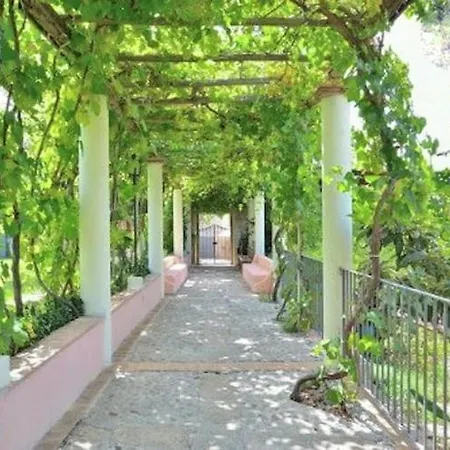 Spacious Mansion In Near Sea *