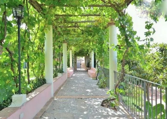 Spacious Mansion In Near Sea *